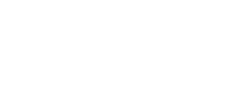 Logo Velazquez Navarrete